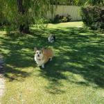Abbey Beach Shack - Accommodation Adelaide 0