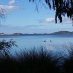 Lilacs Waterfront Villas & Cottages - Accommodation Adelaide 0