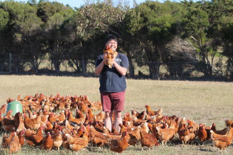 Bimbadeen Phillip Island Farm Retreats - Accommodation Adelaide 4