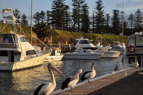 Nautica - Accommodation Adelaide 2