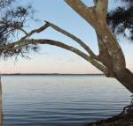 Waterfront Jervis Bay Escape Cooinda - Accommodation Adelaide