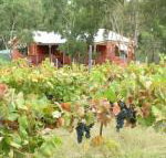 Fergies Hill Spa Cottage at Granite Ridge Wines - Accommodation Adelaide