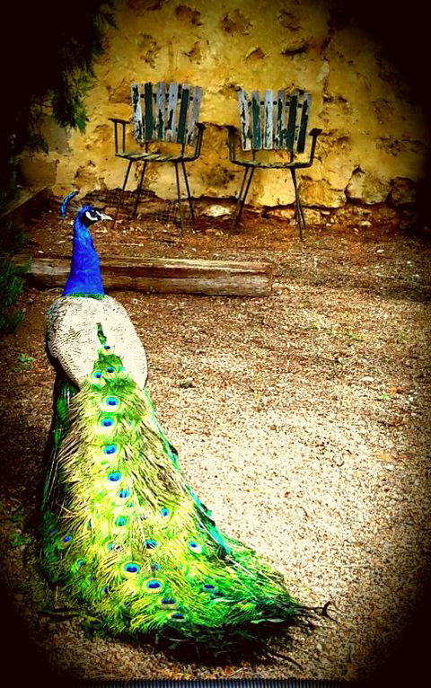 A La Folly - Accommodation Adelaide 4