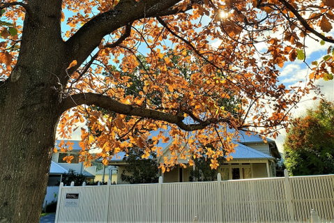 Healesville House - Magnolia House - Accommodation Adelaide 1