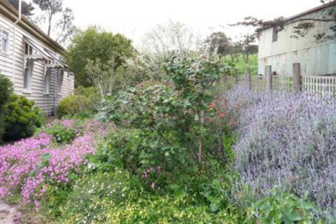 Alvie Cottage - Accommodation Adelaide 1