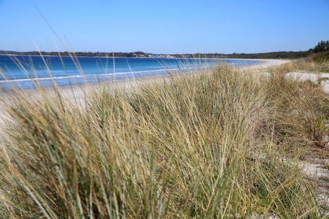Sandy Toes Beach House Jervis Bay 2min To Beach - Accommodation Adelaide 2