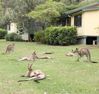 Depot Beach Cabins - Accommodation Adelaide