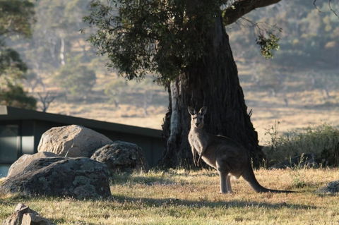 Ecocrackenback 13 'Sustainable Chalet Close To The Slopes.' - Accommodation Adelaide 1