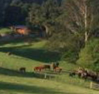 Amaroo Valley Springs - Accommodation Adelaide