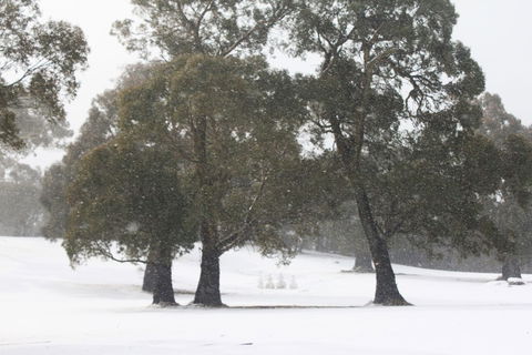 Stillwater Chalet A- Lake Crackenback - Accommodation Adelaide 3