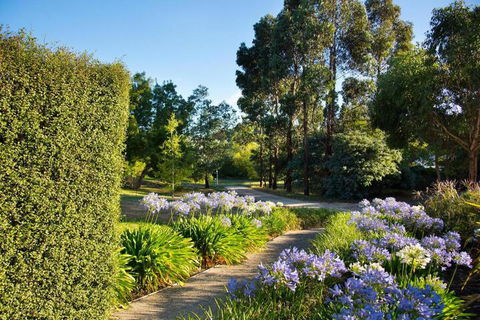 Alvie - Accommodation Adelaide 4