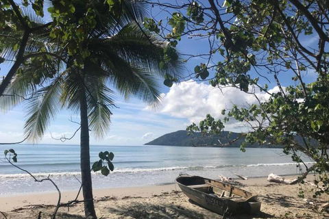 Daintree Rainforest Beach House - Accommodation Adelaide 4