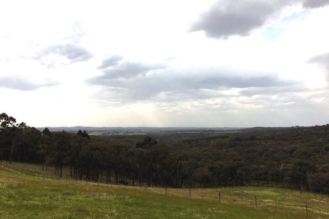 Seven Hills Tiny House - Accommodation Adelaide 6