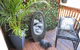 The Little Jungle Studio - thumb 3