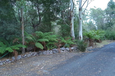 Roland B&B - Accommodation Adelaide 4