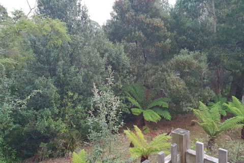 Roland B&B - Accommodation Adelaide 1