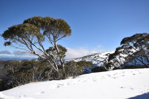 Alpine Heights 9 - Accommodation Adelaide 0