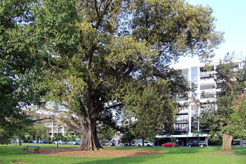 Adelaide Central Apartment - 3BR, 2Bath & Carpark - Accommodation Adelaide 1