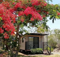 Mt Larcom Tourist Park
