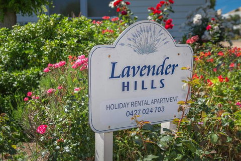 Lavender Hills 12 Bennett Street - Accommodation Adelaide 7