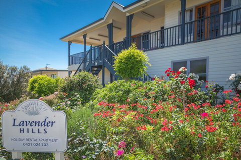 Lavender Hills 12 Bennett Street - Accommodation Adelaide 3