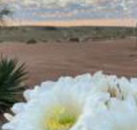 White Cliffs Underground Motel - Accommodation Adelaide