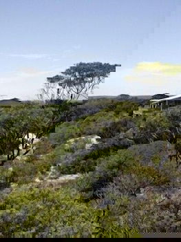 Lantauanan - Accommodation Adelaide 1