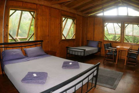 Daintree Rainforest Bungalows - Accommodation Adelaide 4