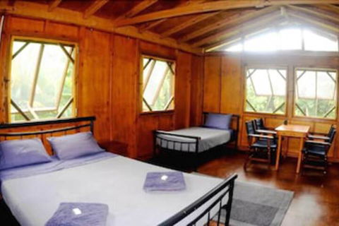 Daintree Rainforest Bungalows - Accommodation Adelaide 5