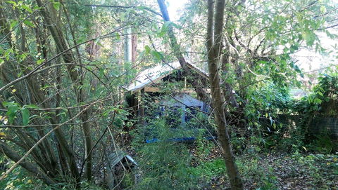 The Black Cockatoo Nannup - Accommodation Adelaide 1