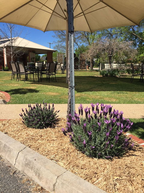 Wine Village Motor Inn - Accommodation Adelaide 4