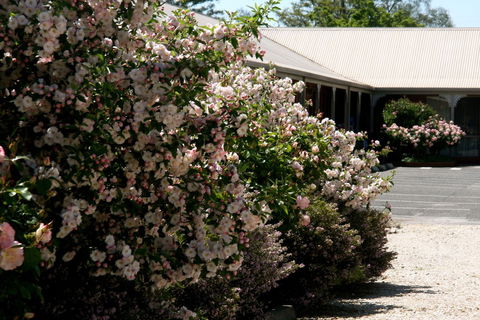 Wine Village Motor Inn - Accommodation Adelaide 1