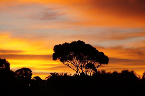 Lindsays Of Kangaroo Island - Accommodation Adelaide 0