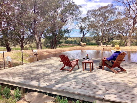Gilgraves Vineyard Farmstay - Accommodation Adelaide 6