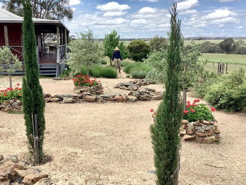Gilgraves Vineyard Farmstay - Accommodation Adelaide 1