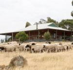 Gilgraves Vineyard Farmstay - Accommodation Adelaide