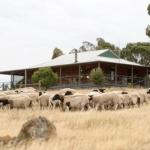 Gilgraves Vineyard Farmstay - Accommodation Adelaide 0