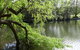 Lakeview On Sycamore - thumb 1