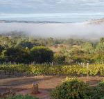 Pecan Hill BNB - Accommodation Adelaide