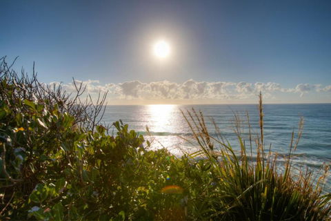 Osprey Sapphire Beach NSW - Accommodation Adelaide 6