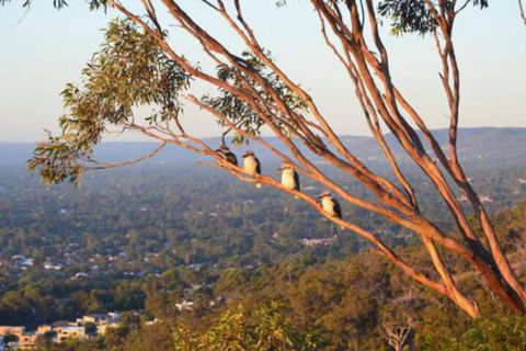 Kingsview Belair Apartment Grand Views Of Adelaide - Accommodation Adelaide 4