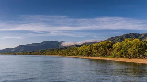 RED COWRIE 321atPALM COVE - Accommodation Adelaide 3