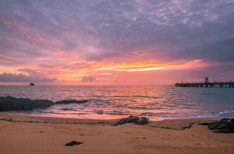 RED COWRIE 321atPALM COVE - Accommodation Adelaide 5