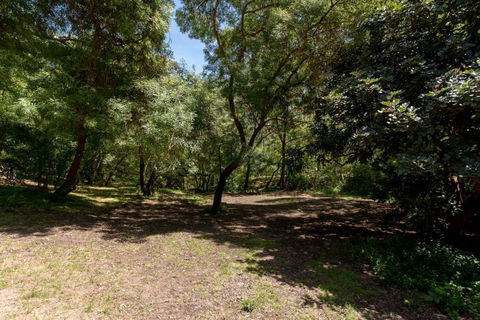 Belair National Park Holiday Park - Accommodation Adelaide 2