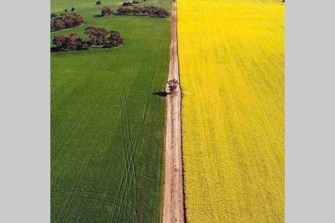 Salty Cottage Northam - Accommodation Adelaide 3