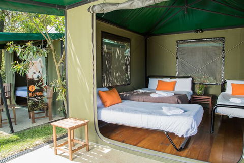 Roar And Snore At Taronga Zoo Sydney - Accommodation Adelaide 1