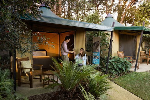 Roar And Snore At Taronga Zoo Sydney - Accommodation Adelaide 4