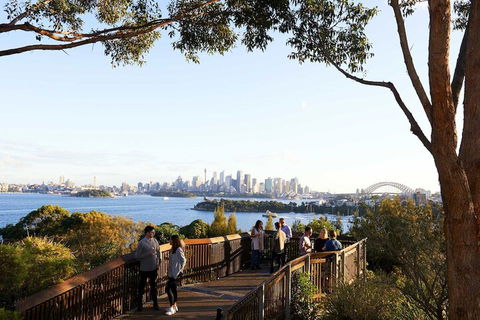 Roar And Snore At Taronga Zoo Sydney - Accommodation Adelaide 6