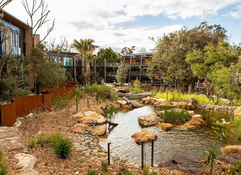 Wildlife Retreat At Taronga - Accommodation Adelaide 3