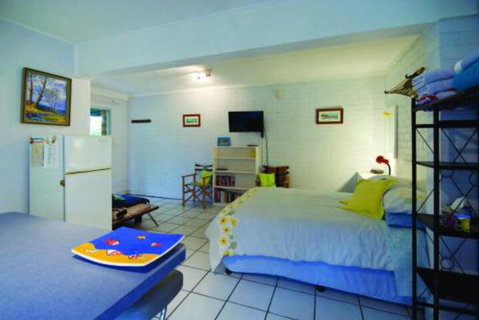 Pacific Studio Nambucca Heads - Accommodation Adelaide 7